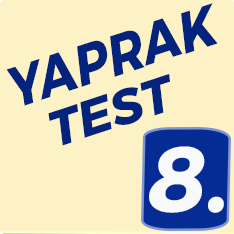 8. Sınıf Yaprak Test
